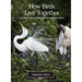 How Birds Live Together: Colonies and Communities in the Avian World