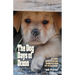 The Dog Days of Dixon: Incredible stories of love and healing in a rural New Mexico Rescue