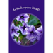 Is Shakespeare Dead?