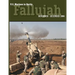 U.S. Marines in Battle: Fallujah, November-December 2004