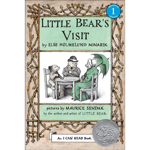 Little Bear's Visit