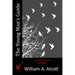 The Young Man's Guide