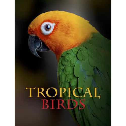 Tropical Birds