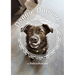 Doggie Dharma: a Path to Practice