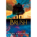 Brush