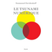 Le Tsunami Numerique