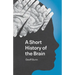 A Short History of the Brain