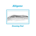Alligator Drawing Pad