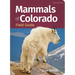 Mammals of Colorado Field Guide