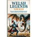 Welsh Legends for Kids: Dragons, Heroes, Prophecies, Myths, Magic & More from Ancient Wales