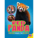 Red Panda