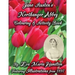 Jane Austen's Northanger Abbey Colouring & Activity Book: Featuring Illustrations from 1897