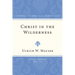Christ in the Wilderness