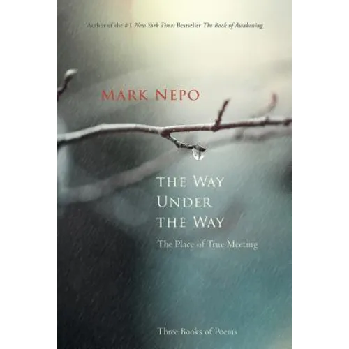 The Way Under the Way: The Place of True Meeting