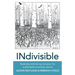 INdivisible: Radically rethinking inclusion for sustainable business results