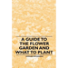 A Guide to the Flower Garden and What to Plant