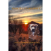 Priscilla's Journey