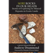 More Rocks in Our Heads: Stories of Exploring for Mineral Deposits in Exotic Lands