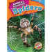 Spiders