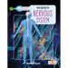 Investigating the Nervous System