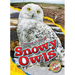 Snowy Owls