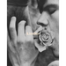 Linder