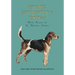 Some Sporting Dogs - With Plates by G. Vernon Stokes