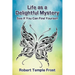 Life as a Delightful Mystery: See If You Can Find Yourself