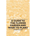 A Guide to the Flower Garden and What to Plant