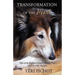 Transformation of the Heart: Tales of the Profound Impact Therapy Dogs Have on Their Humans