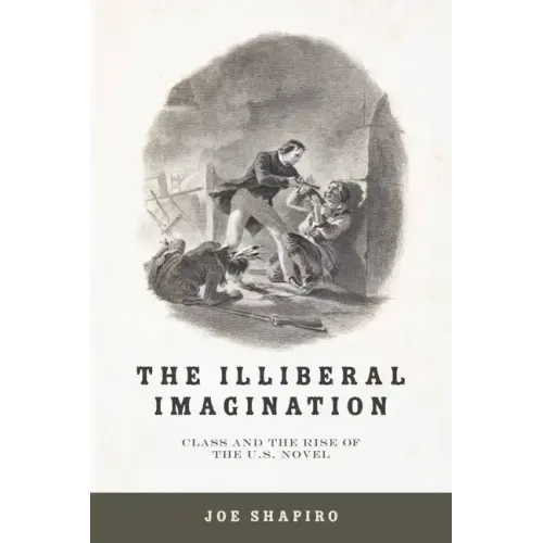 The Illiberal Imagination: Class and the Rise of the U.S. Novel