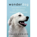 Wonderdog: The Science of Dogs and Their Unique Friendship with Humans
