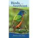 Birds of the Southeast: Your Way to Easily Identify Backyard Birds