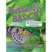 Butterfly Basics: My First Book of Butterflies