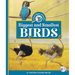 Biggest and Smallest Birds