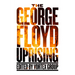 The George Floyd Uprising
