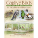 Captive Birds in Health and Disease