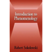 Introduction to Phenomenology
