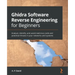 Ghidra Software Reverse Engineering for Beginners: Analyze, identify, and avoid malicious code and potential threats in your networks and systems