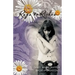 Overcoming Abuse God's Way: Rags to Riches