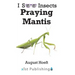 Praying Mantis