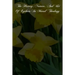 The History, Nature, And Use Of Epikeia In Moral Theology