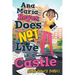 Ana Maria Reyes Does Not Live in a Castle