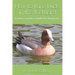 How to Raise Ducks in the Backyard: A Duck Farming Guide for Beginners