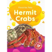 Hermit Crabs