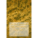 New Card Game called Fifty Four Pictures: God Light