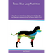 Texas Blue Lacy Activities Texas Blue Lacy Tricks, Games & Agility Includes: Texas Blue Lacy Beginner to Advanced Tricks, Fun Games, Agility and More