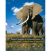 Statistical Computation for Environmental Sciences in R: Lab Manual for Models for Ecological Data