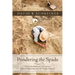 Pondering the Spade: Discussing Important Convergences Between Archaeology and Old Testament Studies