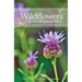 Wildflowers of the Mountain West: Volume 1